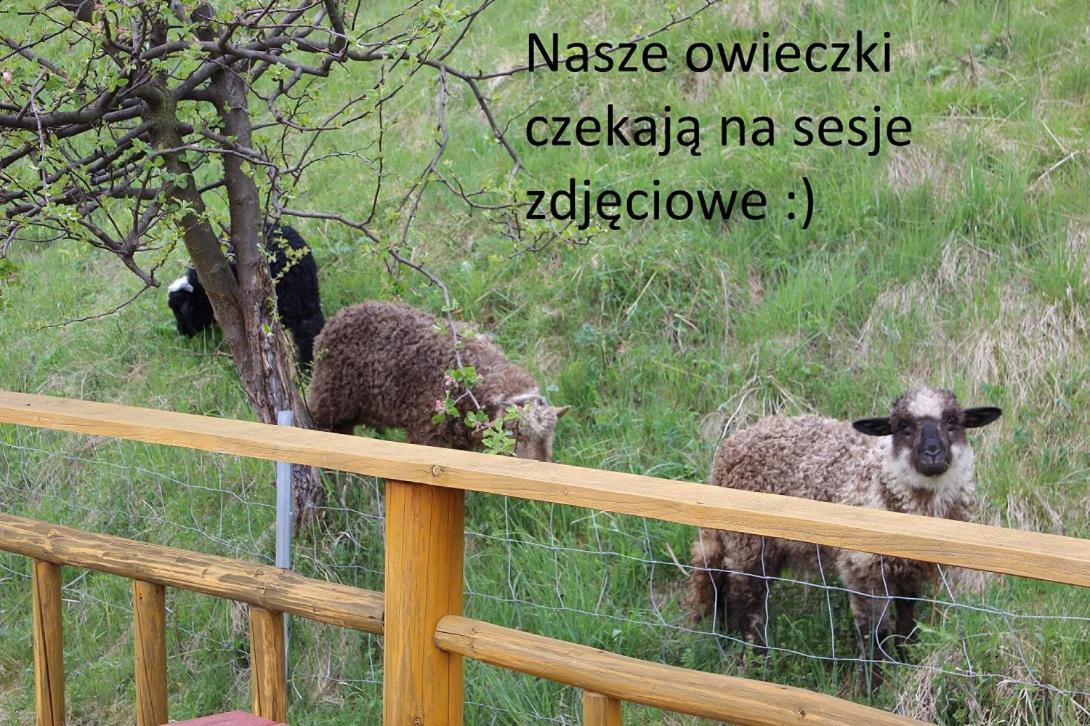 Domki Pod Zielonym Wierchem Zakopane Esterno foto